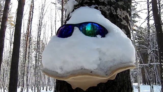 Привет ТАНЯ от Гриб Грибыча