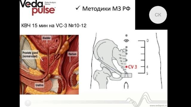 КВЧ-терапия в андрологии и гинекологии