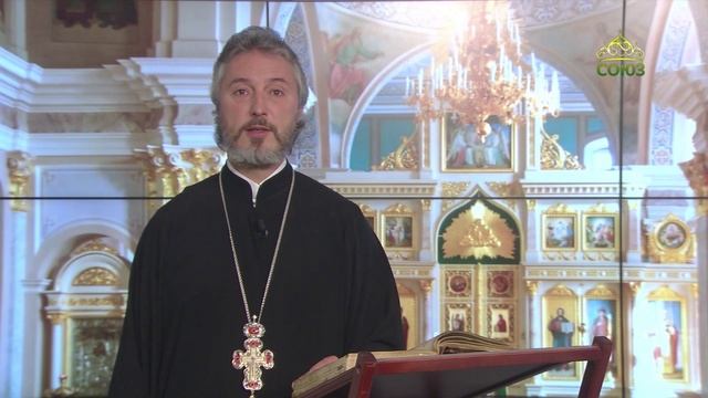Церковный календарь 11 ноября. Преподобномученица Анастасия Римляныня