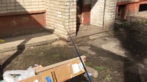 Breaden Specimen 76 tiptop Torzity (распаковка)