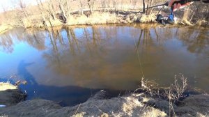 Облавливаю новинки на малой реке. Smith AKM 48S, Jackall Tricoroll Ryushin 53HW, Kosadaka Gravy-2