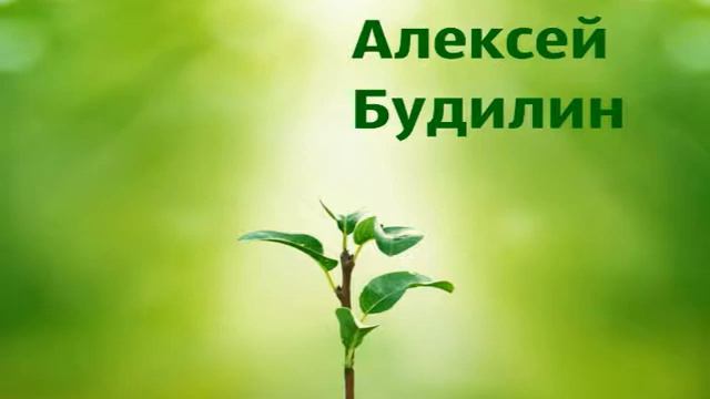 "Вера -притча о сеятеле"-Алексей Будилин