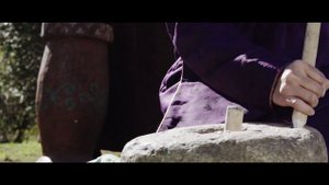 деморолик ТНО