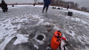 Первый лед КЛАССИКА ЖАНРА поиск рыбы РАТАН  - ДНЕВНИК БЛОГЕРА