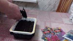 Ролик Сею Лобелию, делюсь секретами