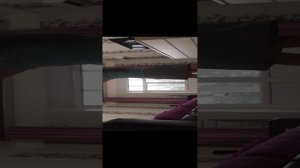 играем в мяч на кличку