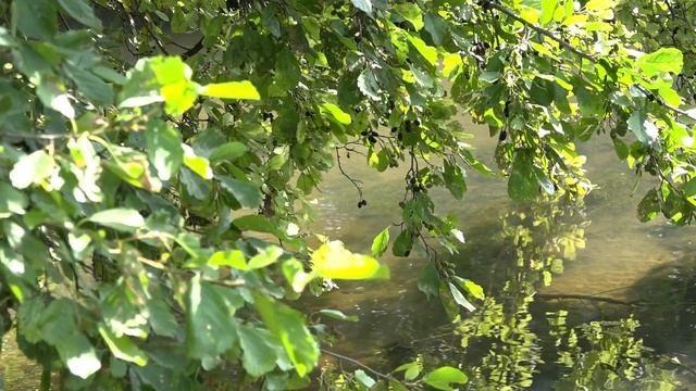 ООО «Дорсервис» выполняются работы по очистке ливневых стоков и замене проливных каналов смотреть онлайн