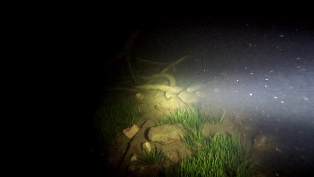 Nattdyk i Lilla Le 2017-10-13 | Paralenz смотреть онлайн