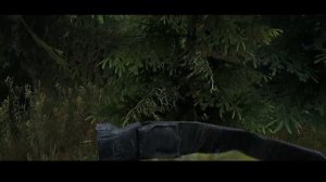 DAYZ Как Выжить | Собираем грибы в чаще леса