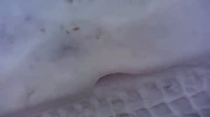 шум коробки ниссан террано
