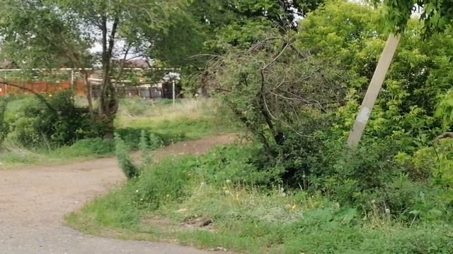 История застройки Новой Слободки и улица Парижской Коммуны как её часть в Оренбурге