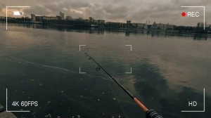 РЫБАЛКА НА ОКУНЯ В НЕВЕ МОЖНО машину ЗаправитЬ Бензином