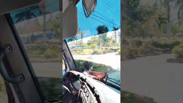 Казахи в Доминиканской Республики #доминиканскаяреспублика