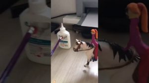 Тренировка #лошади шляйх