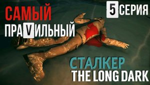 САМЫЙ ПРАVИЛЬНЫЙ СТАЛКЕР✮THE LONG DARK✮5 СЕРИЯ