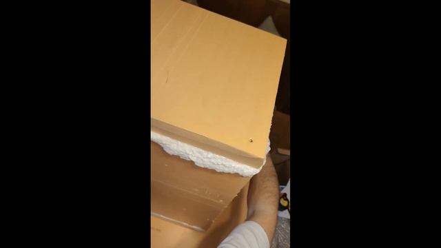 Гайд (Инструкция) по постройке зимних домиков для кошек смотреть онлайн