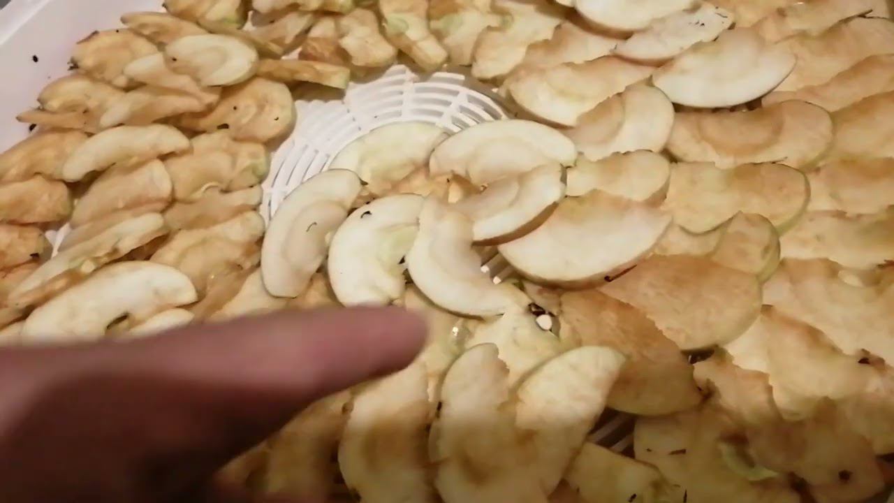 Загрузка сушилки