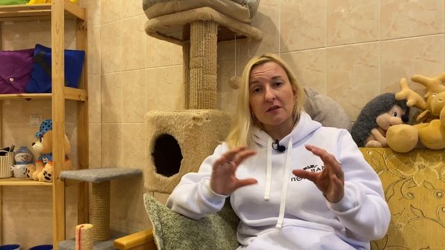 Котокафе Мохнатая компания | 15 лет фонду Зоозащита в Екатеринбурге | приют для бездомных животных