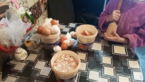 #яичная#скорлупа#её#хранение#и свойства.