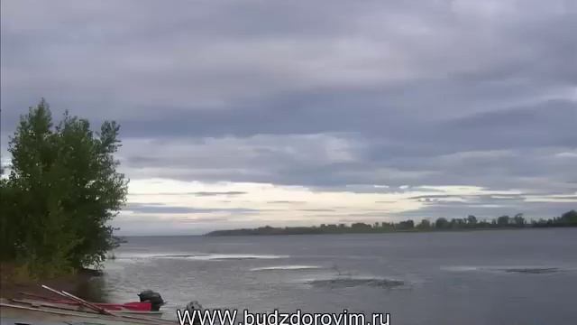 Чистополь