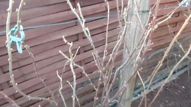 Бавария в марте , открытие дачного сезона смотреть онлайн