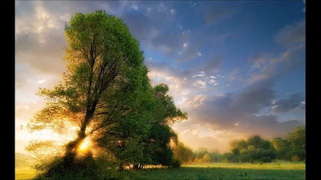 Шейх Адис - отношение мужа и жены в исламе. Слушать всем!