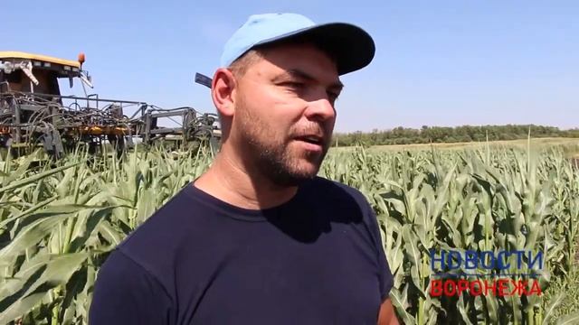 Уникальная техника «Монсанто» в поле в Воронежской области