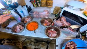 После этого собаки будут есть овощи как мясо. Рабочий способ приучить собаку есть овощи