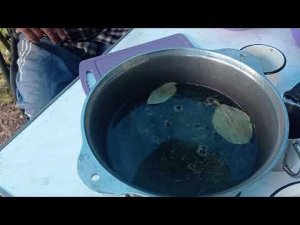 Казыр - открываем сезон. Часть вторая. Мокрая.