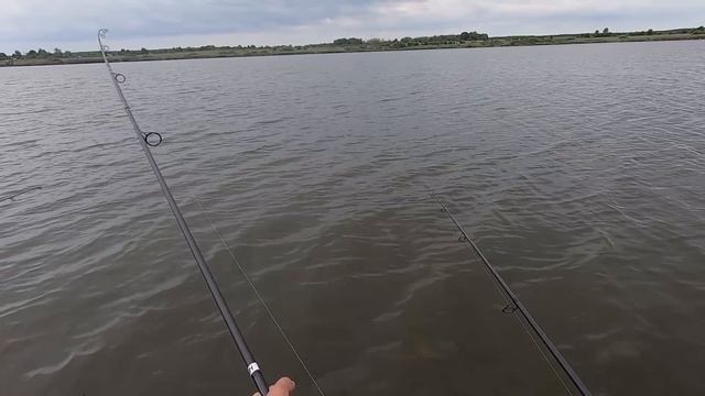 ТАКТИКА ЛОВЛИ КАРПА НА БОЙЛЫ! Эксперимент с прикормкой. смотреть онлайн