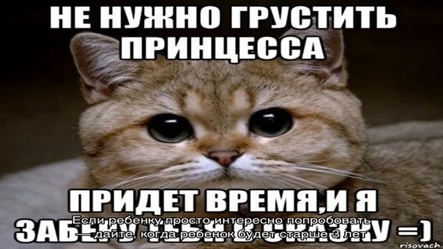 С какого возраста цикорий можно давать ребенку? смотреть онлайн