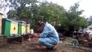 Дым пушка против клеща вароа. Как обработать пчёл бипином с дым пушки.
