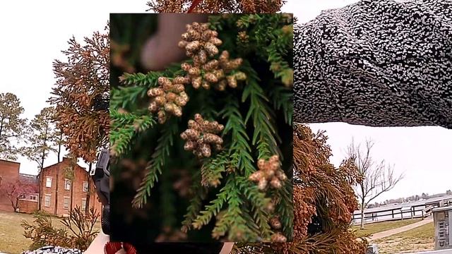 POV Photography using the Canon 77d and 55-250mm Lens