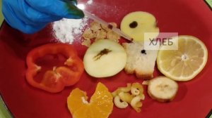 Определение крахмала в продуктах