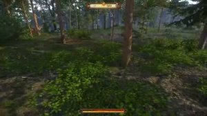 Прохождение Kingdom Come: Deliverance - Птичка невеличка. Поймать соловьев #21