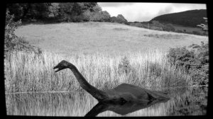 Кто такое Лох-Несское Чудовище?Миф ли это или правда?AnyWild