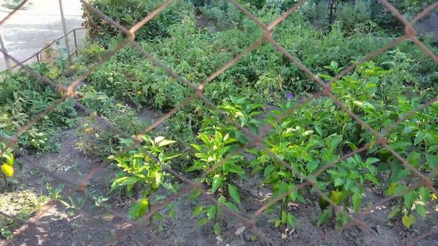 Уехала с Харькова но ненадолго смотреть онлайн