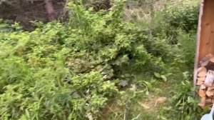 Аляска 2023/ Путешествие/ Экскурсии/ Цены