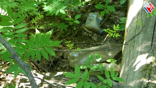 21.07.2018 Экологический десант! смотреть онлайн