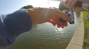 Что может спиннинг для джига. Pontoon 21 Seven & eleven. Джиг на средних реках.