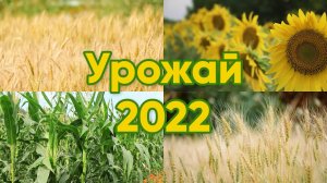 День урожая 2022.mp4