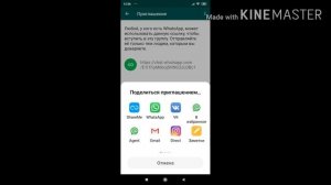 WhatsApp Настройка чата