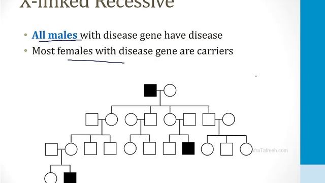 Генетика USMLE - 1. Генетические концепции - 5.Родословные