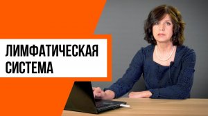 Мышцы и лимфатическая система. Как это работает?