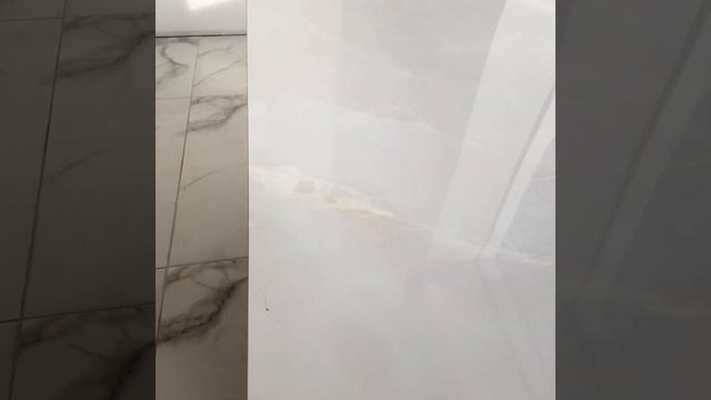 Керамогранит оникс белый 60х120 толщина 10мм производитель Россия. смотреть онлайн