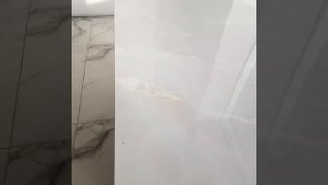 Керамогранит оникс белый 60х120 толщина 10мм производитель Россия.