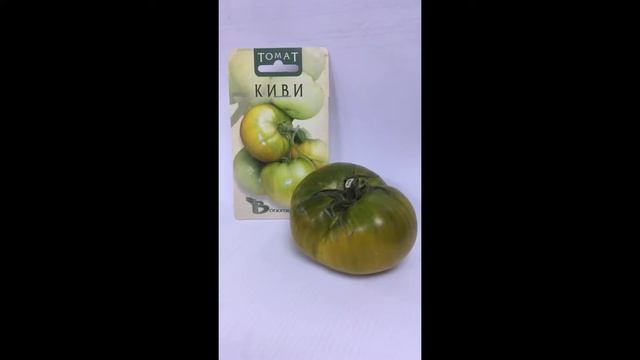 Томат Киви смотреть онлайн