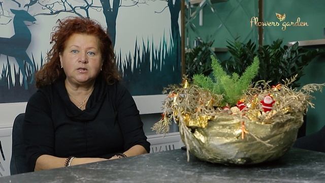 27 ноября 2021 г. смотреть онлайн