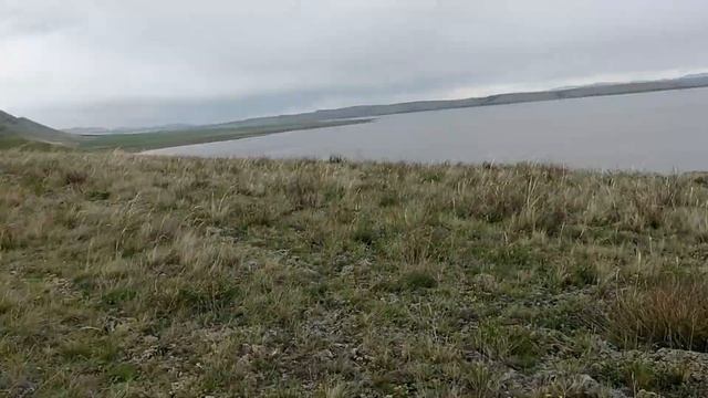 Рыба ушла на дальний кордон. смотреть онлайн