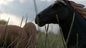 Сериал шляйх Любовь без границ серия 3 (Семья).